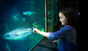 Eintrittskarten Jütland Aquarium